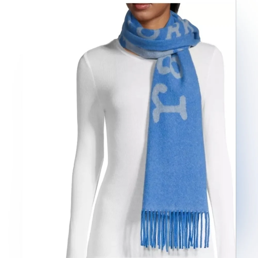 NWT Rag & Bone Addison Blue Scarf